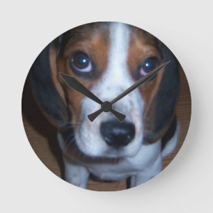 Silly Dog Randy beagle puppy Round Clock