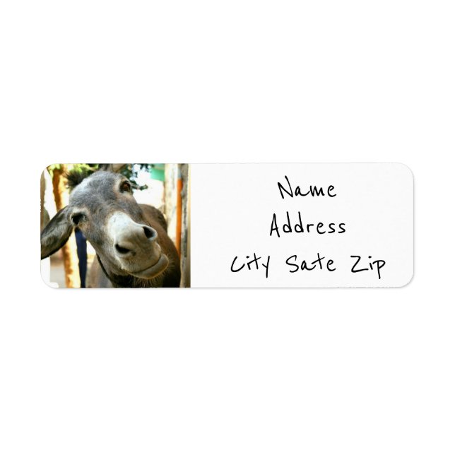 "SILLY DONKEY" RETURN ADDRESS LABELS (Front)
