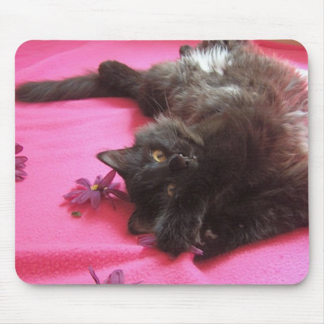 silly gal mouse mat (Front)