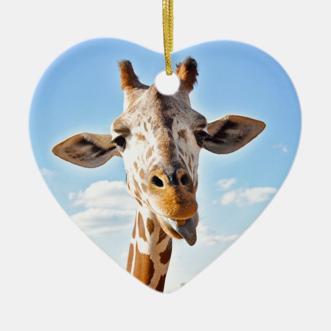 Silly Giraffe Ceramic Tree Decoration (Front)