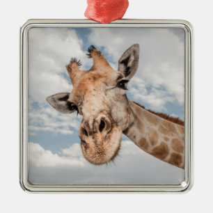 Silly Giraffe Metal Tree Decoration