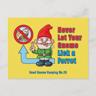 Silly Gnome And Ferret Postcard