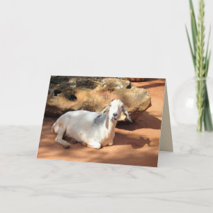 Silly Goat Card