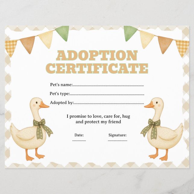 Silly goose adopt a pet certificate editable flyer (Front)