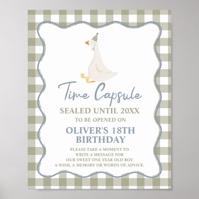 Silly Goose Blue Green 1st Birthday Time Capsule Poster (Front)