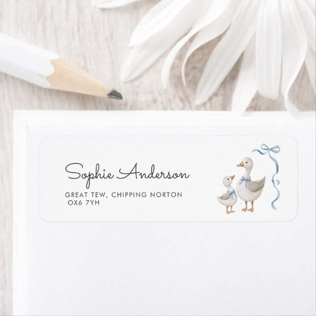Silly Goose Boy Baby Shower Address (Insitu)