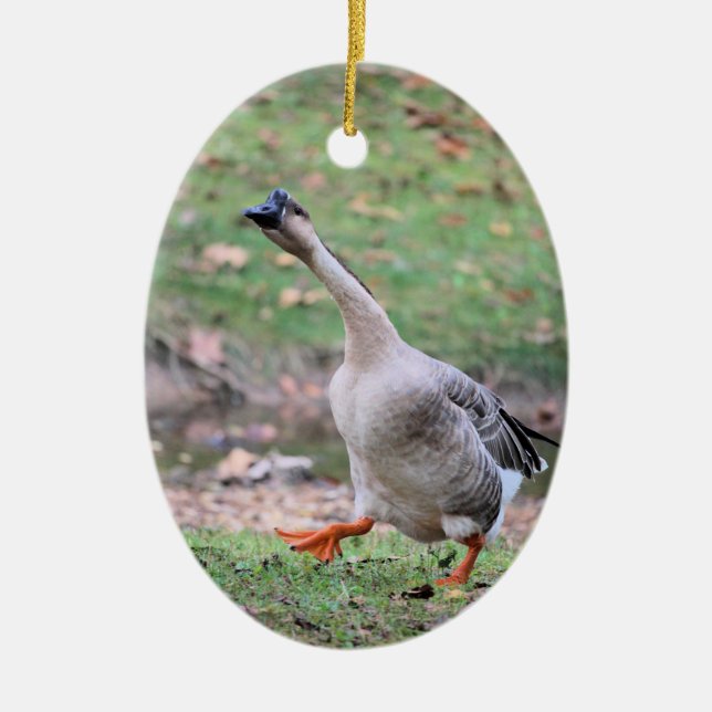 Silly goose ceramic tree decoration (Front)