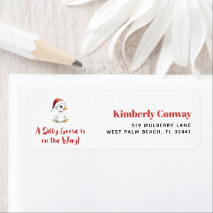 Silly Goose Christmas Winter Baby Shower