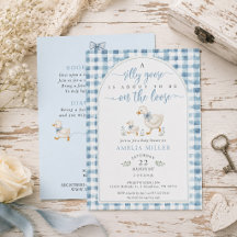 Silly Goose on the Loose Blue Gingham Baby Shower