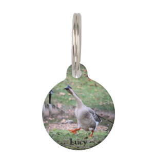 Silly Goose Pet Tag