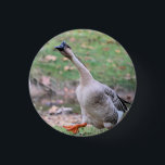 Silly goose   silver plated necklace 3 cm round badge<br><div class="desc">Bird</div>