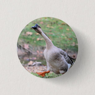 Silly goose silver plated necklace 3 cm round badge
