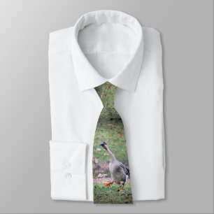 Silly goose  tie