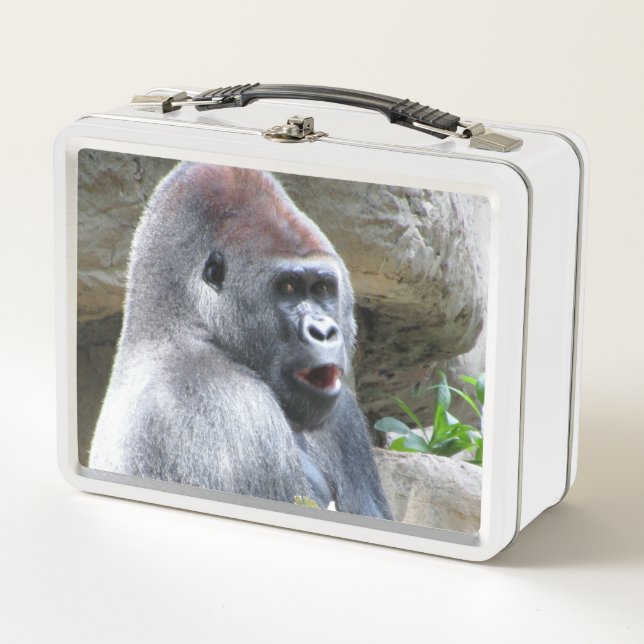 Silly Gorilla Metal Lunchbox (Front)