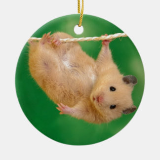 silly hampster ceramic tree decoration