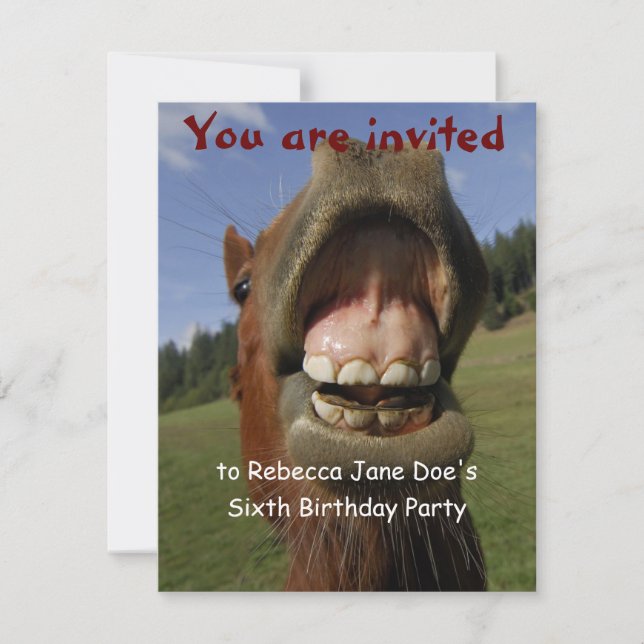 Silly Horse and Donkey Birthday Party Invitation (Front)