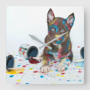 Silly Husky Puppy got into Paint Buckets Square Wall Clock