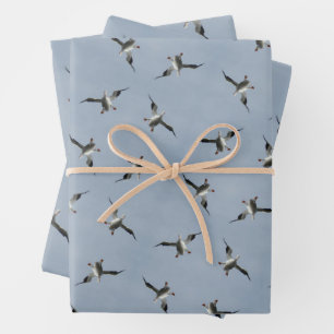 Silly Landing Pelican Pic Wrapping Paper Sheets