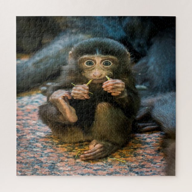 Silly Little Monkey Jigsaw Puzzle (Vertical)