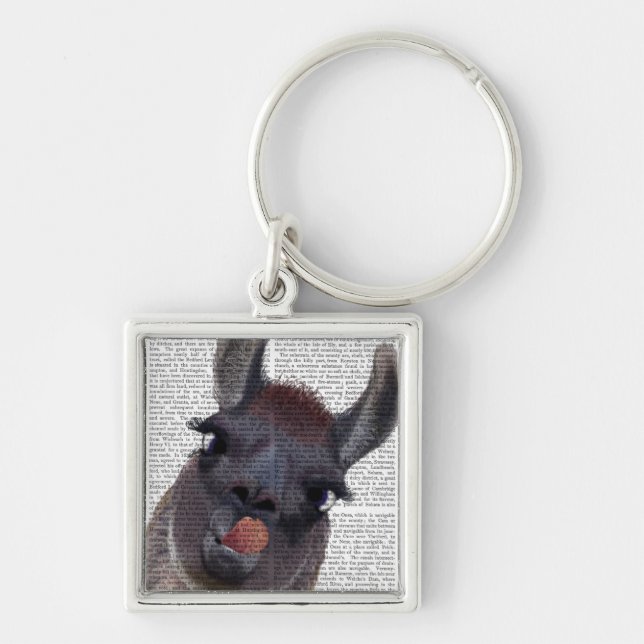 Silly Llama Key Ring (Front)