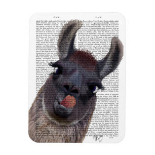 Silly Llama Magnet