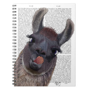 Silly Llama Notebook