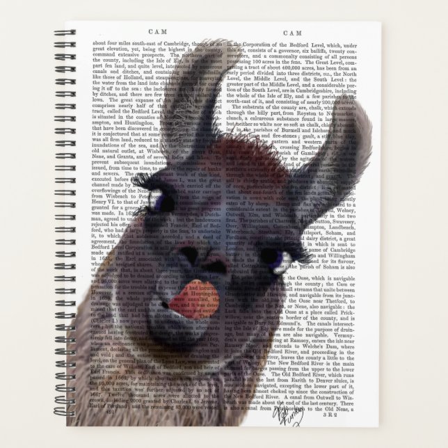 Silly Llama Planner (Front)
