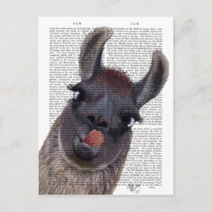 Silly Llama Postcard