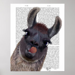 Silly Llama Poster
