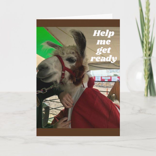 **SILLY LLAMA** SAY HAPPY BIRTHDAY CARD (Front)