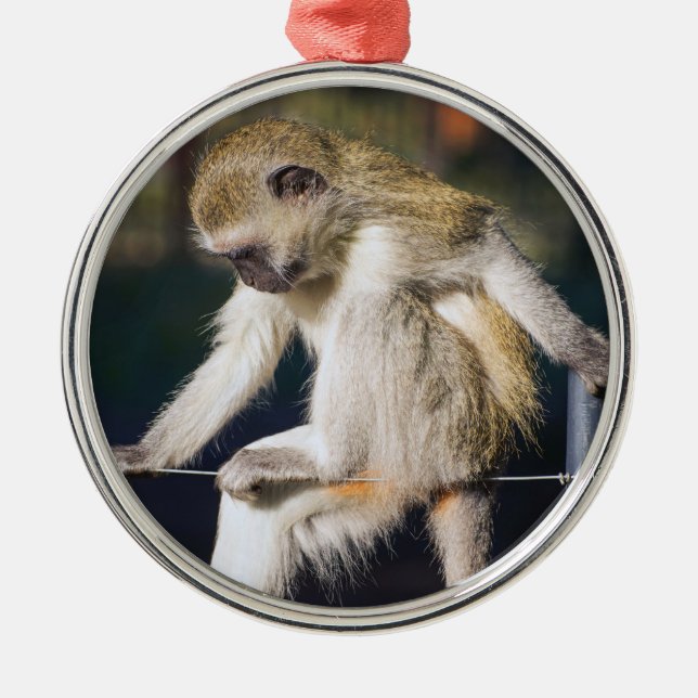 Silly Monkey Metal Tree Decoration (Front)
