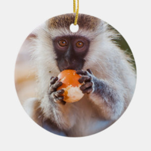 Silly Monkey with Orange Ceramic Tree Decoration