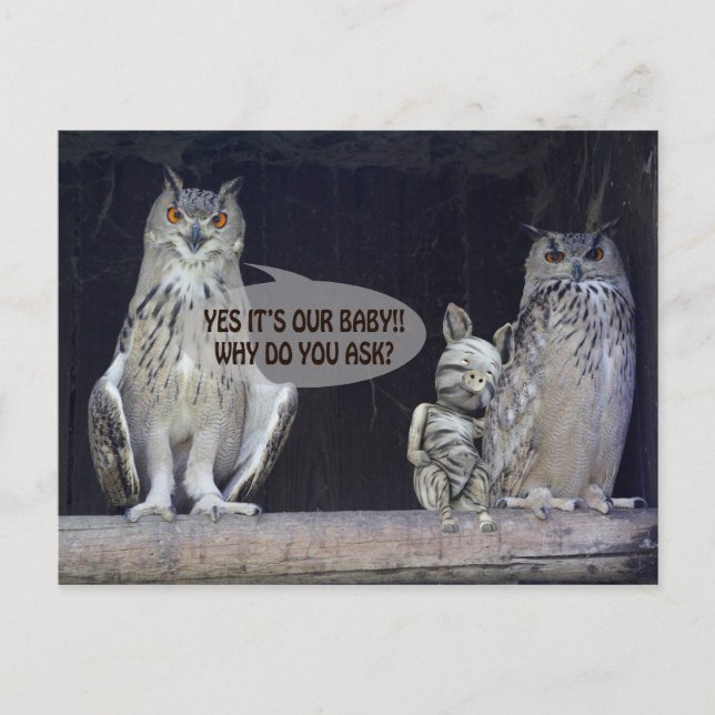 Silly Question Postcard (Front)