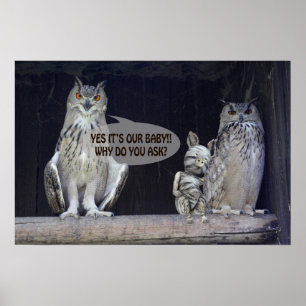 Silly Question Poster