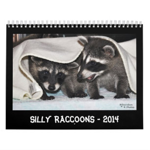 Silly Raccoons - 2014 Calendar