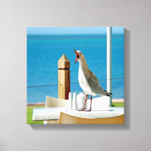 Silly Seagull Canvas Print