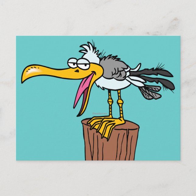 silly seagull cartoon postcard (Front)