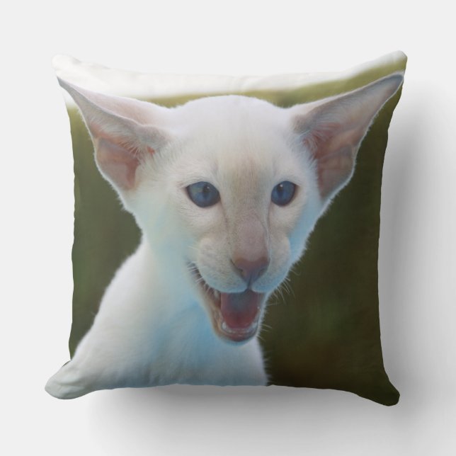 Silly Siamese Cushion (Front)
