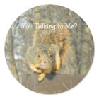 Silly Squirrel