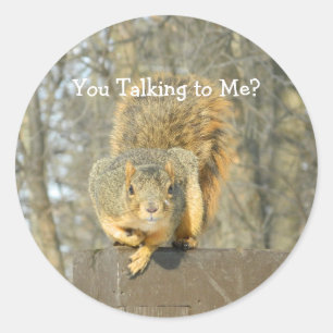 Silly Squirrel Classic Round Sticker