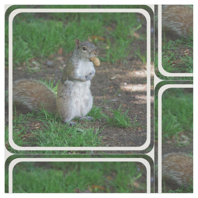 Silly Squirrel Fabric (Close Up)