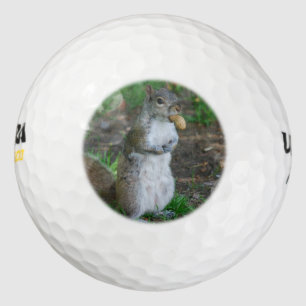 Silly Squirrel Golf Balls