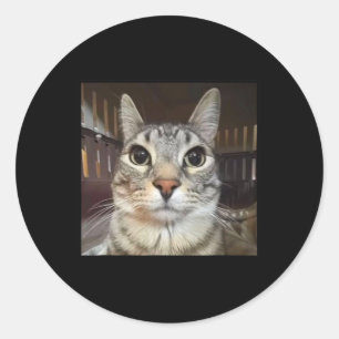Silly Staring Cat Meme Classic Round Sticker