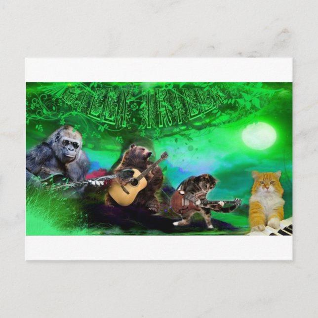 Silly Trilly Postard Postcard (Front)