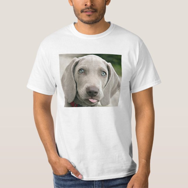 Silly Weimaraner Photo T-Shirt (Front)