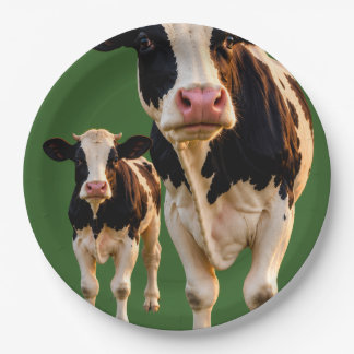 sillycowand calf on party paper plate