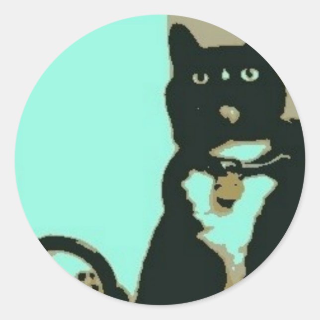 SillyKitty stickers (Front)