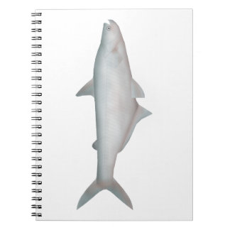 Silond Catfish Notebook