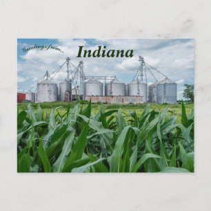 Silos and a Cornfield in Indiana Postcard