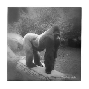 Silveback Gorilla Tile